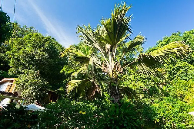 Вилла Cote Sud - Unique Villa & Bungalows Intendance Road Такамака