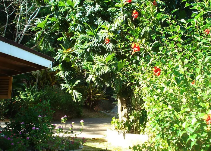 Cote Sud - Unique Villa & Bungalows Intendance Road